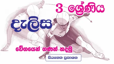 දැලිස